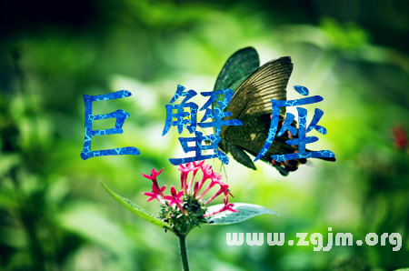 職場中巨蟹座拿什麼來保護自己_十二星座