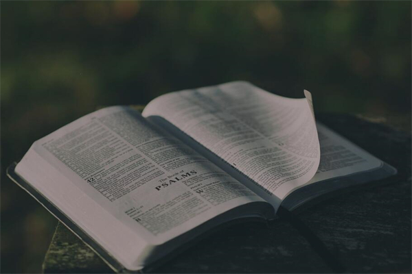 夢到丟書是什麼預兆？_周公解夢