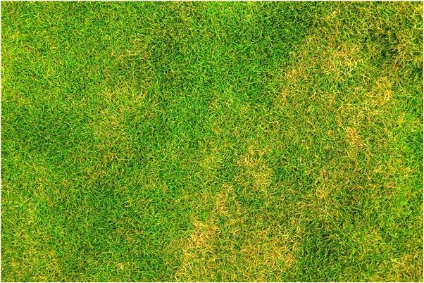 夢到了別人說自己無糧會是什麼預兆_周公解夢官網