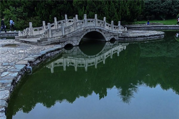 夢到了掉進水塘好不好_周公解夢