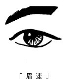 眉速