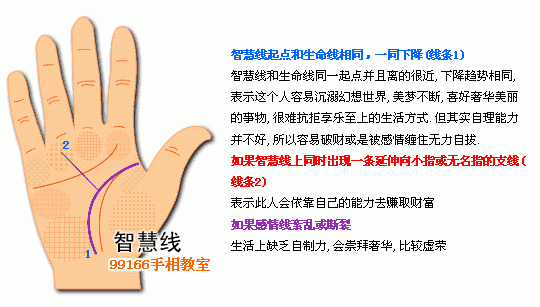 手相圖解大全：5、智慧線看個性_看相大全