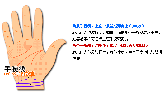 各類掌紋支線圖解_看相大全