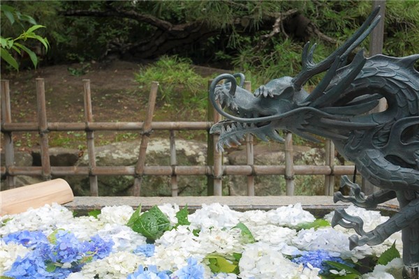 夢到了紫龍有何寓意_周公解夢