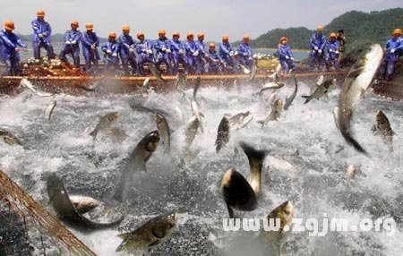 夢見別人捕魚