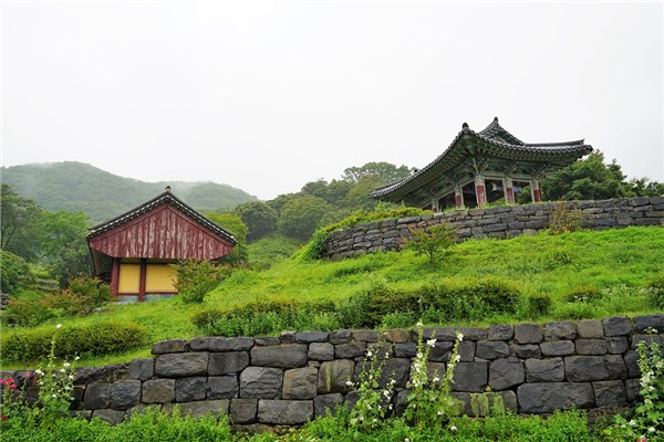 夢到了樹屋啥意思_周公解夢