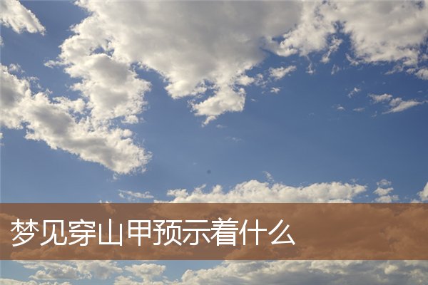 夢見穿山甲預示著什麼_周公解夢