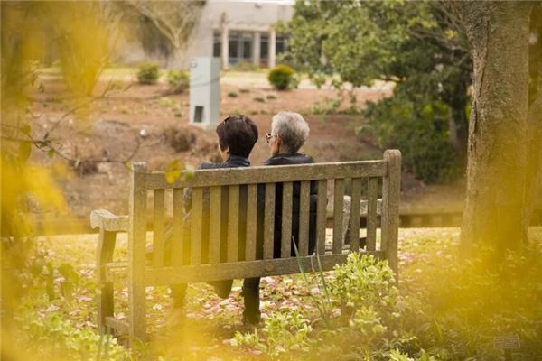 夢見伯母_周公解夢