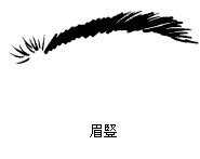 眉豎