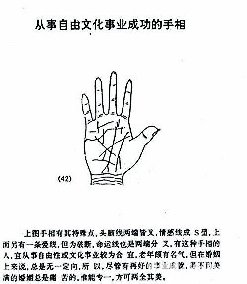 從事自由文化事業成功的手相