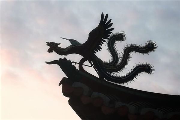 夢見鳳凰是胎夢嗎_周公解夢