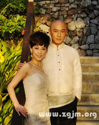 張衛健演過的電視劇 張衛健的老婆_十二星座