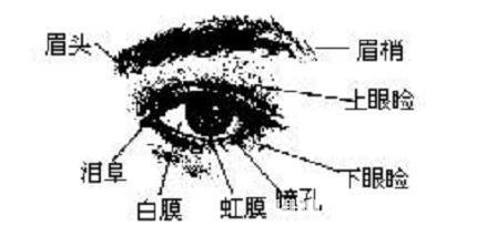 面向算命 眼睛