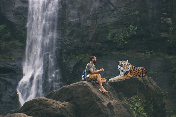 夢見老虎咬右手_周公解夢