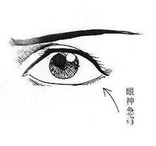 蜂目狼頭
