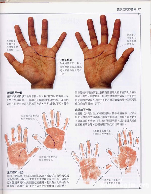 《手相學習百科》：雙手之間的差異