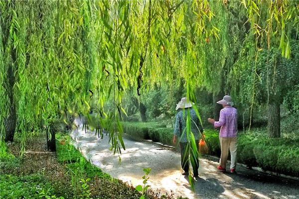 夢見和長輩吵架翻臉_周公解夢