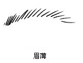 眉薄