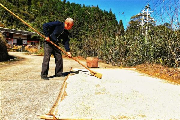 夢見曬穀子什麼意思_周公解夢