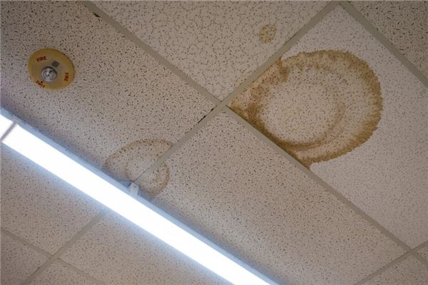 夢到樓上漏水漏到我家_周公解夢