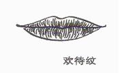 唇有縱紋