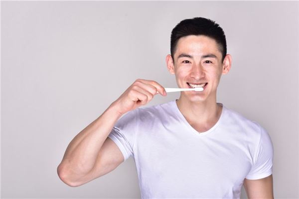 02年屬馬的運勢2021_十二生肖