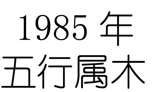 1985年五行屬什麼？1985年出生是什麼命？