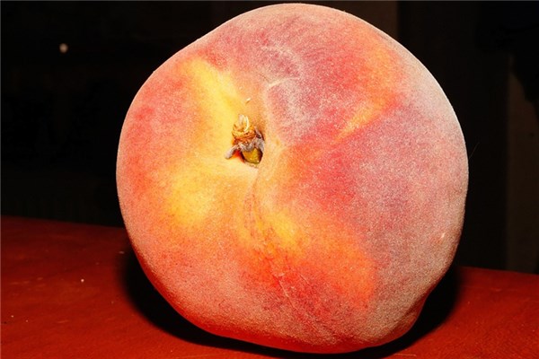 夢到桃李有什麼意思嗎_周公解夢