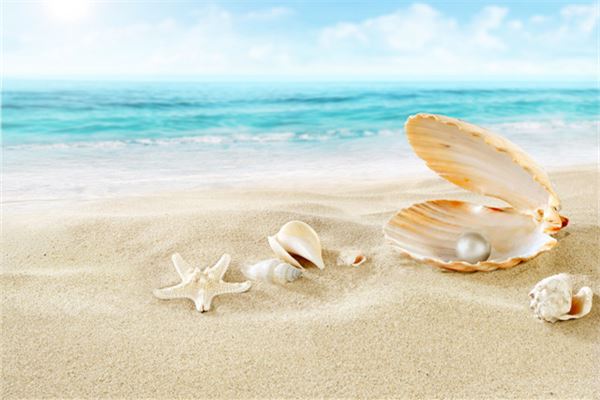 夢見珍珠意味著什麼_周公解夢