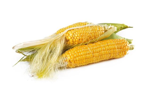 夢見掰玉米是什麼意思_周公解夢