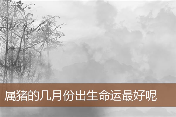 屬豬的幾月份出生命運最好呢_十二生肖