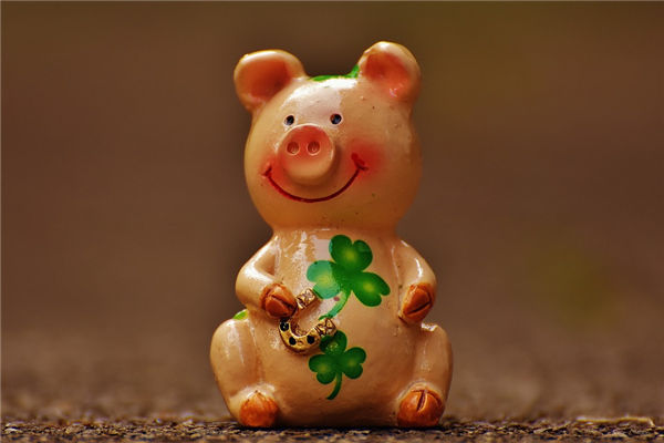 1971年屬豬的22年運勢如何_十二生肖