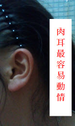 熊老師說掌相82