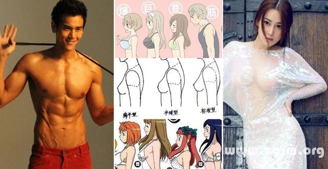男女胸形定一生命運