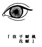 孩子眼桃花眼