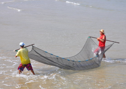 夢見大海里撈魚