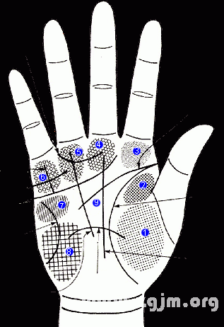 看手相算命圖解：手_看相大全