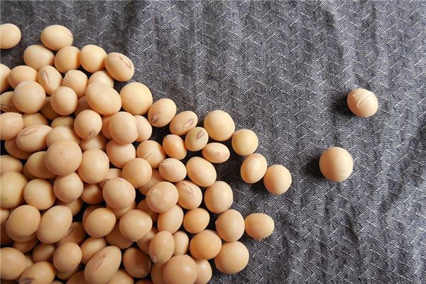 夢見大豆是什麼意思_周公解夢
