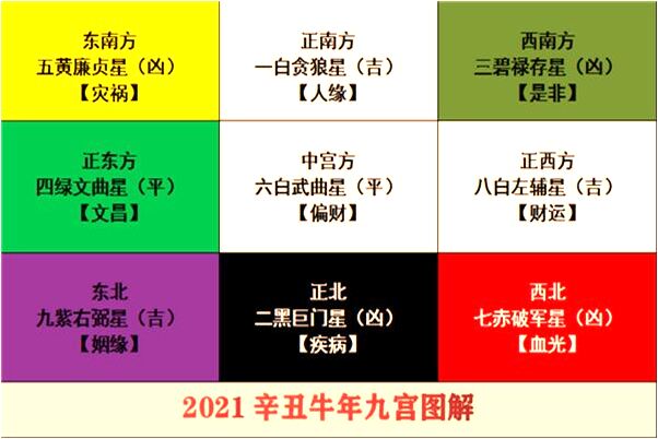 夢到肥豬跌下岩代表著什麼_周公解夢官網