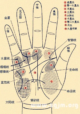 手相歌訣