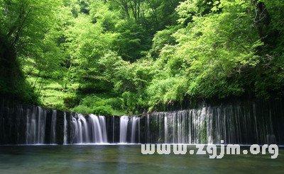 夢見樹林裡跑