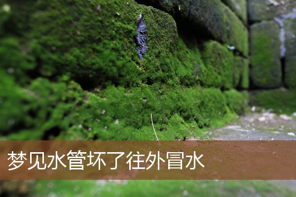 夢見水管壞了往外冒水_周公解夢