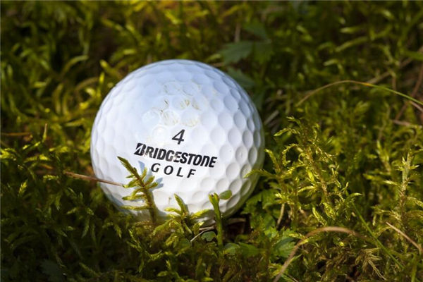 夢見丟東西是什麼意思_周公解夢