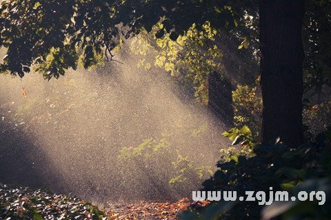 夢見太陽雨