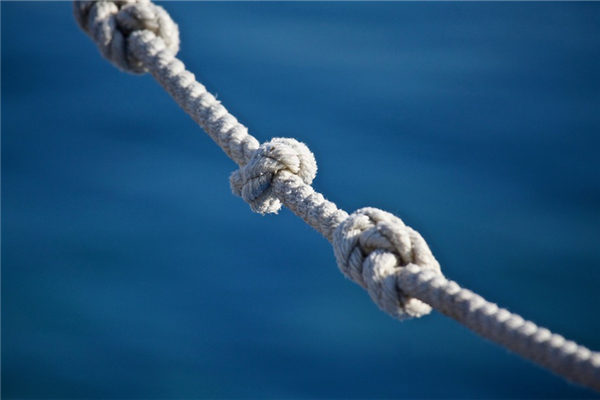 夢到蠅子是凶兆還是吉兆_周公解夢