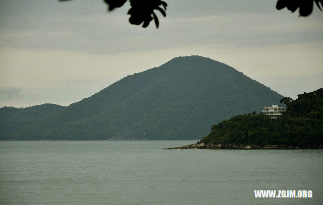 夢見在樹林裡_周公解夢夢到在樹林裡是什麼意思_做夢夢見在樹林裡好不好_周公解夢官網