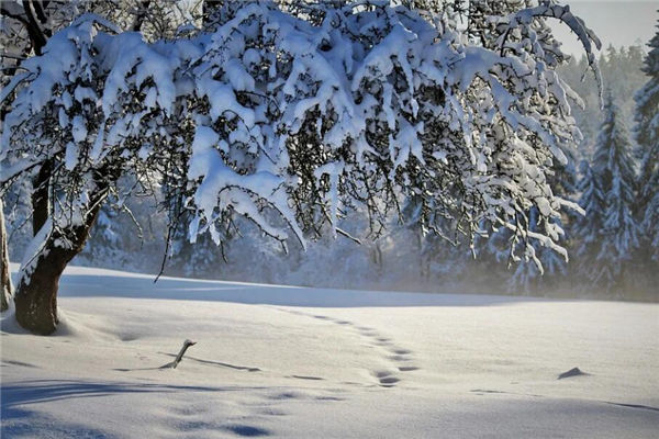 夢見下大雪什麼意思_周公解夢