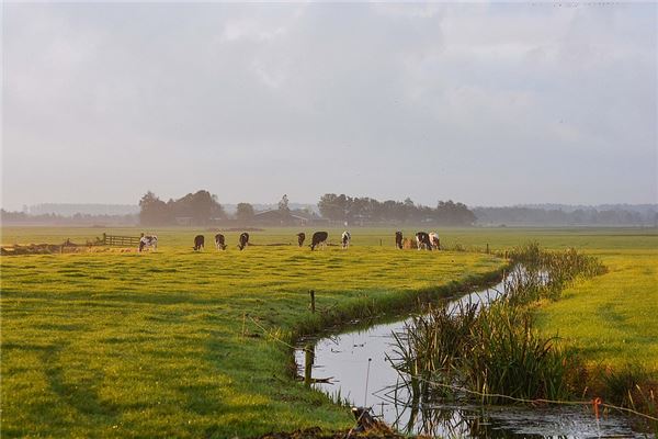 夢見河溝_周公解夢