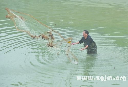 夢見撒網打魚