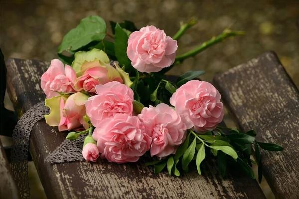 夢見很多鮮花_周公解夢